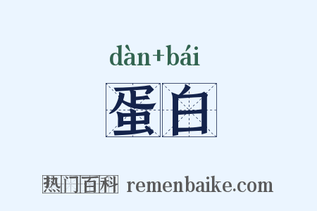 蛋白是什么意思的图片